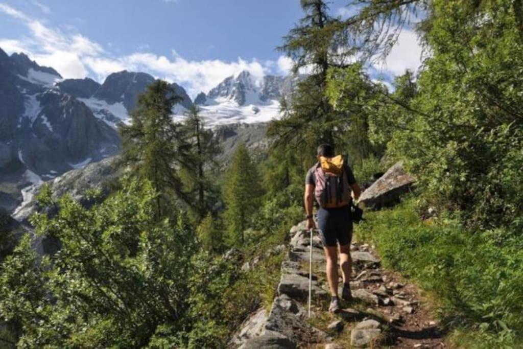 Chalet Rustico Bertolini Per Gruppi! Villa Vermiglio Bagian luar foto