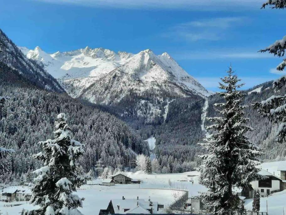 Chalet Rustico Bertolini Per Gruppi! Villa Vermiglio Bagian luar foto