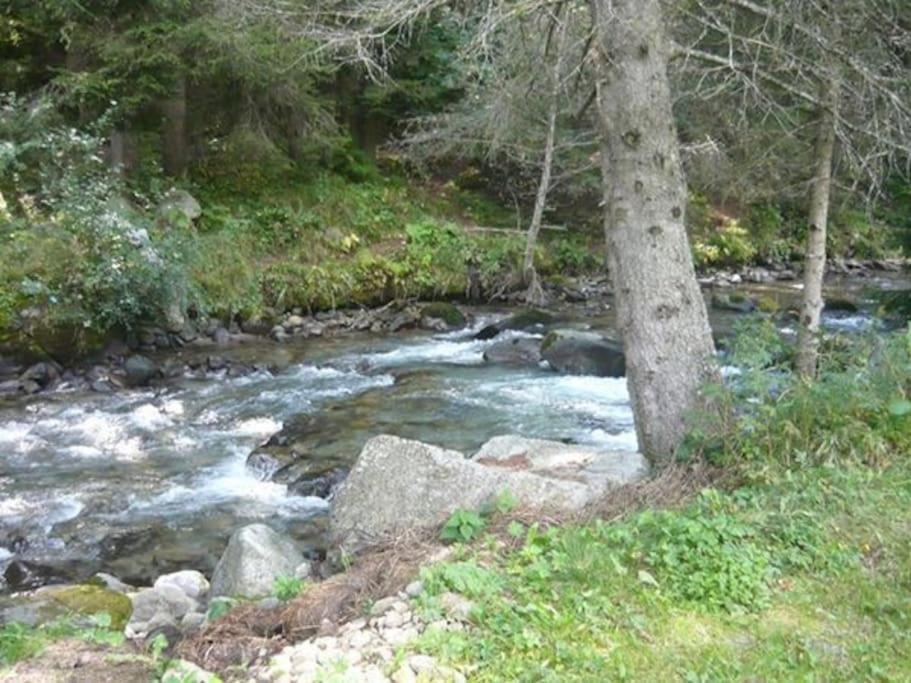 Chalet Rustico Bertolini Per Gruppi! Villa Vermiglio Bagian luar foto