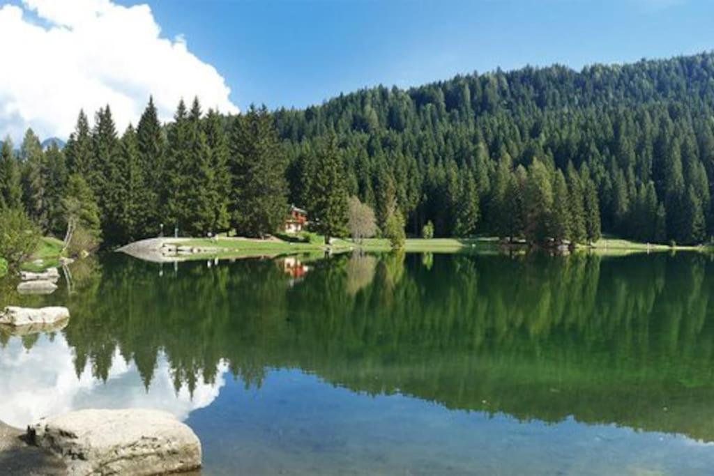 Chalet Rustico Bertolini Per Gruppi! Villa Vermiglio Bagian luar foto